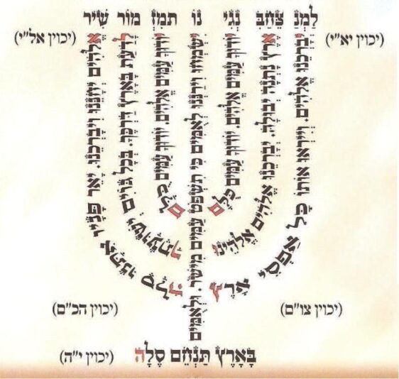 WhatsApp Image 2025-12-07 at 21.59.46